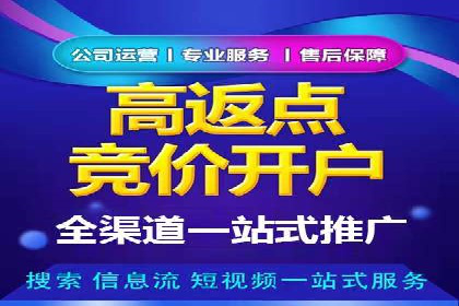成功SEM主管的营销策略案例分享